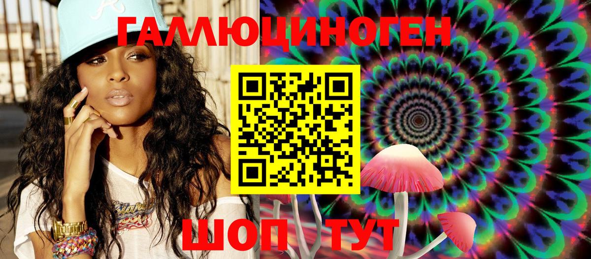 Электрогорск  Псилоцибиновые грибы Psilocybe  Вход с VPN 