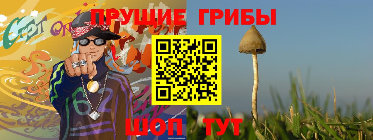 Галлюциногенные грибы мицелий Электрогорск